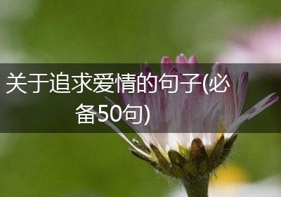 关于追求爱情的句子(必备50句)