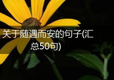 关于随遇而安的句子(汇总50句)
