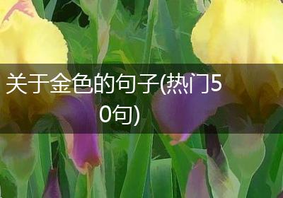 关于金色的句子(热门50句)