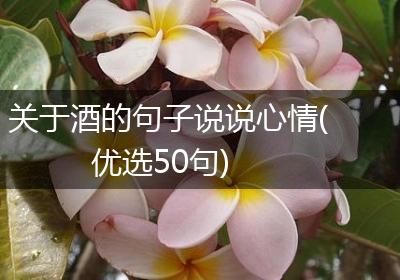 关于酒的句子说说心情(优选50句)
