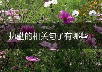 执勤的相关句子有哪些