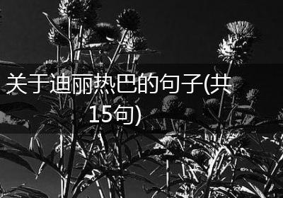 关于迪丽热巴的句子(共15句)