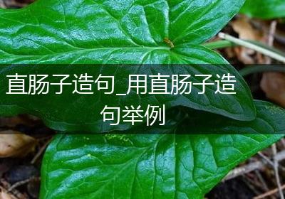 直肠子造句_用直肠子造句举例