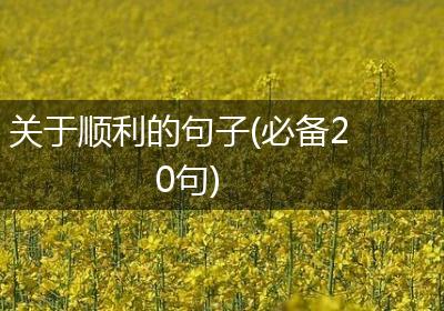关于顺利的句子(必备20句)