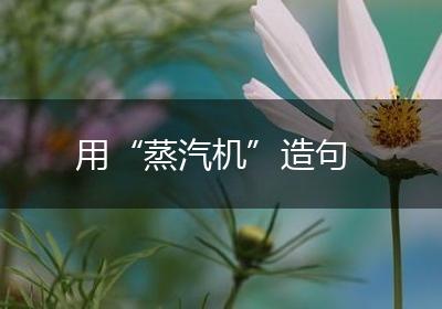 用“蒸汽机”造句