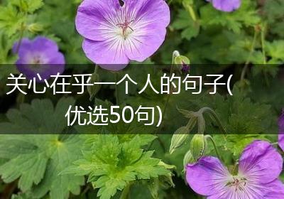 关心在乎一个人的句子(优选50句)