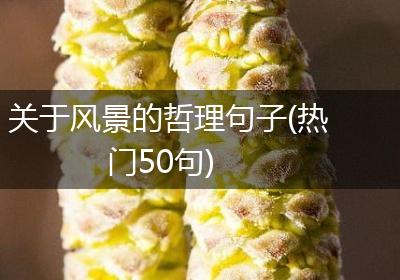 关于风景的哲理句子(热门50句)