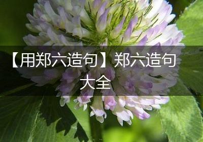 【用郑六造句】郑六造句大全