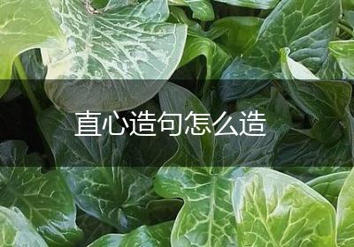 直心造句怎么造