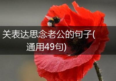 关表达思念老公的句子(通用49句)