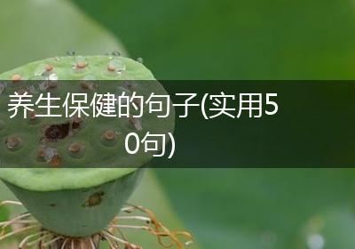 养生保健的句子(实用50句)