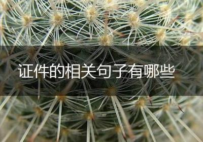 证件的相关句子有哪些