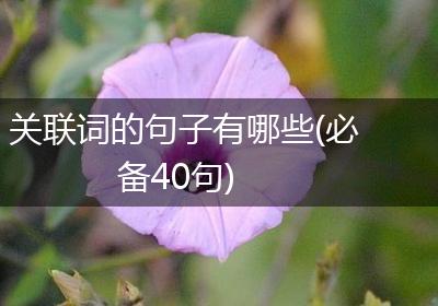 关联词的句子有哪些(必备40句)