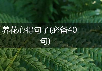 养花心得句子(必备40句)