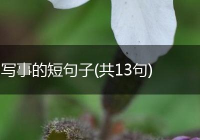 写事的短句子(共13句)