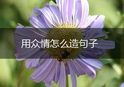 用众情怎么造句子