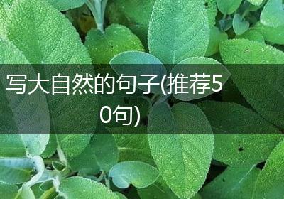 写大自然的句子(推荐50句)