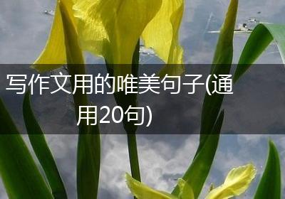 写作文用的唯美句子(通用20句)