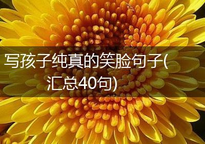 写孩子纯真的笑脸句子(汇总40句)