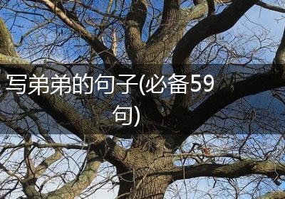 写弟弟的句子(必备59句)