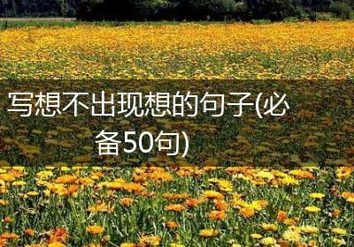 写想不出现想的句子(必备50句)