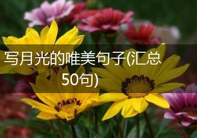 写月光的唯美句子(汇总50句)
