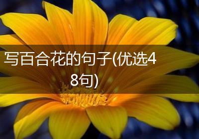 写百合花的句子(优选48句)