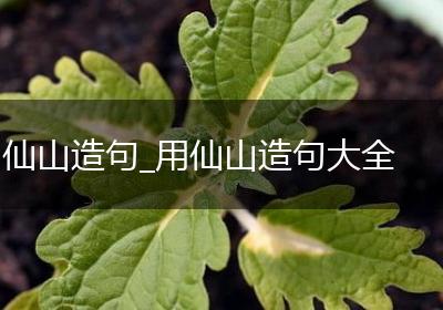 仙山造句_用仙山造句大全