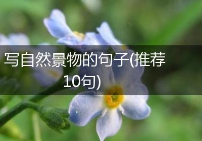 写自然景物的句子(推荐10句)