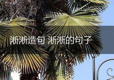 淅淅造句 淅淅的句子