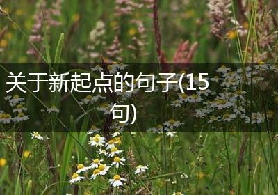 关于新起点的句子(15句)