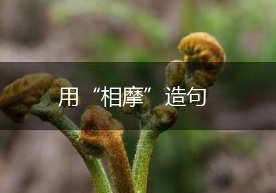 用“相摩”造句