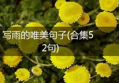 写雨的唯美句子(合集52句)