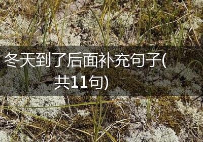 冬天到了后面补充句子(共11句)