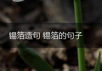 锡箔造句 锡箔的句子