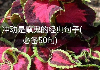 冲动是魔鬼的经典句子(必备50句)