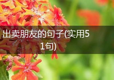 出卖朋友的句子(实用51句)