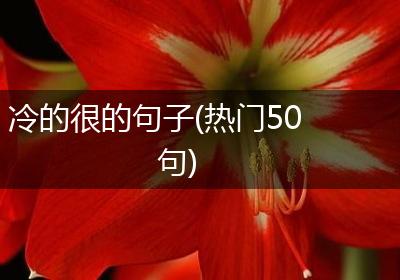 冷的很的句子(热门50句)