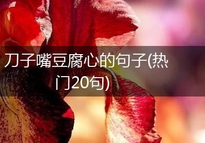 刀子嘴豆腐心的句子(热门20句)