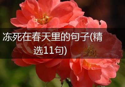 冻死在春天里的句子(精选11句)