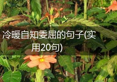 冷暖自知委屈的句子(实用20句)