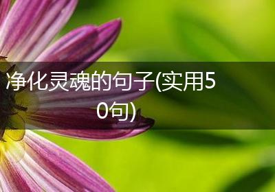 净化灵魂的句子(实用50句)