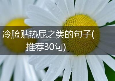 冷脸贴热屁之类的句子(推荐30句)