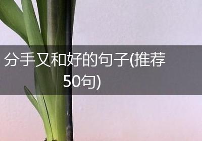 分手又和好的句子(推荐50句)