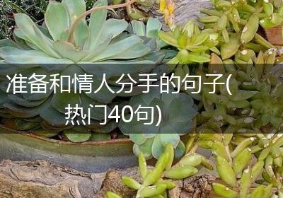 准备和情人分手的句子(热门40句)
