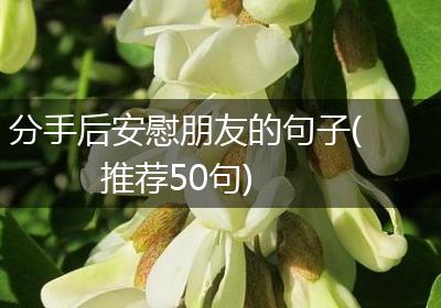 分手后安慰朋友的句子(推荐50句)