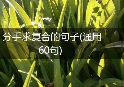 分手求复合的句子(通用60句)
