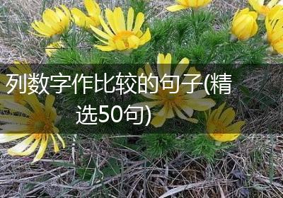 列数字作比较的句子(精选50句)