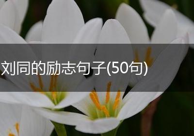 刘同的励志句子(50句)