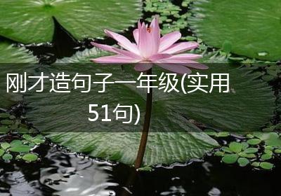 刚才造句子一年级(实用51句)